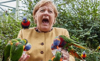 Fundi i një epoke? Karriera politike e Angela Merkel në fotografi