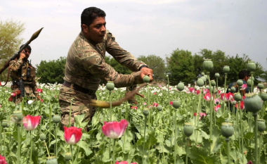 India konfiskon gati tre tonë të heroinës afgane