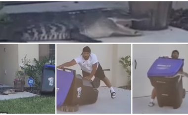 Gjen aligatorin në oborrin e shtëpisë, veterani amerikan shfrytëzon shportën e mbeturinave si kurth – e dërgon reptilin në zonën nga ku kishte ardhur