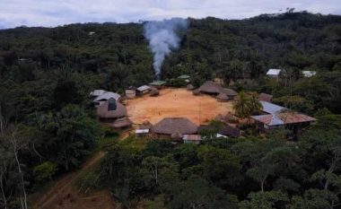 Rithimi në natyrë: Tërheqja në Amazonë, për t’i shpëtuar pandemisë