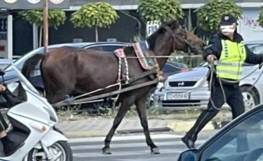 Kali përfundon në autostradën Tetovë – Shkup, policia identifikon pronarin
