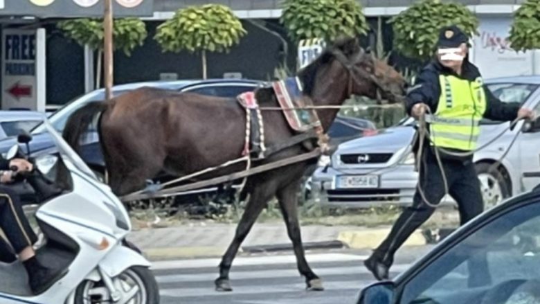 Kali përfundon në autostradën Tetovë – Shkup, policia identifikon pronarin