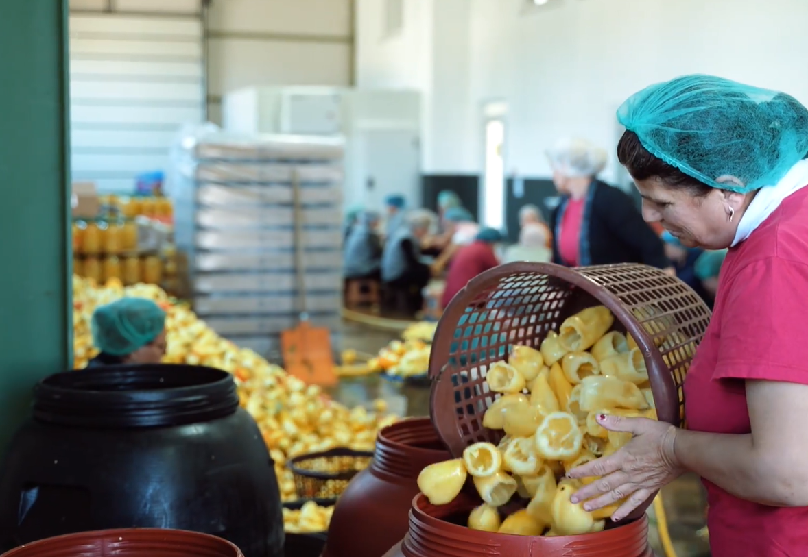 Si po funksionon bujqësia e kontraktuar në Kosovë?