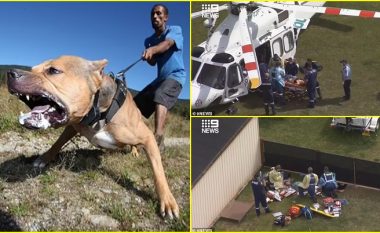 Ishte sa një ‘kalë i vogël’: Veterineri australian kërkon ndalimin e racave të qenve vrasës pasi dy gra u ‘copëtuan’ nga një pitbull gjigant