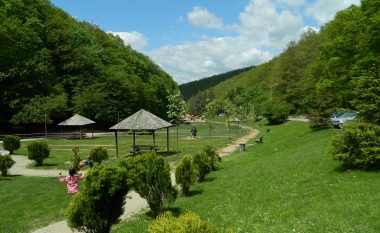 Komuna e Prishtinës e mbyll parkun e Gërmisë – ende nuk është lokalizuar ariu