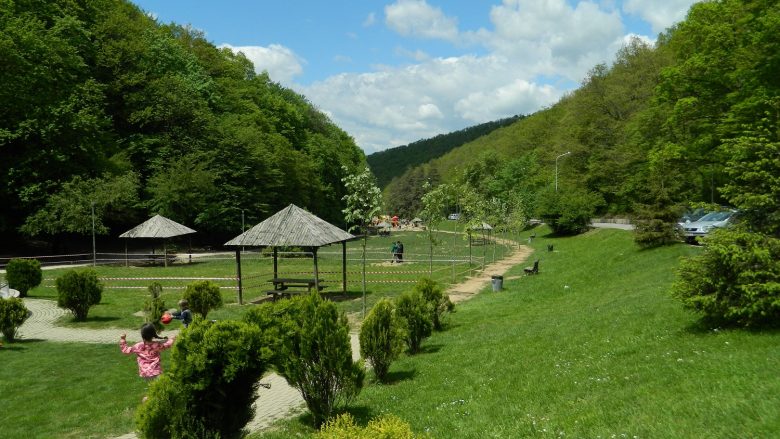 Komuna e Prishtinës e mbyll parkun e Gërmisë – ende nuk është lokalizuar ariu