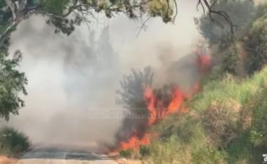 Zjarri masiv në Vlorë, arrestohen dy punonjës pastrimi-nën hetim një 14-vjeçar