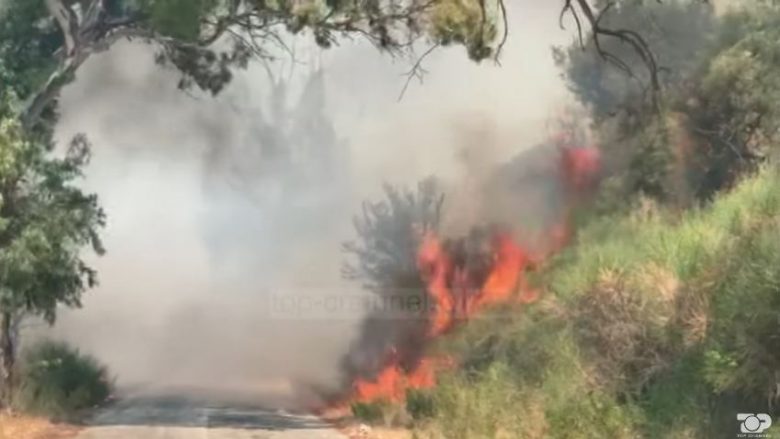 Zjarri masiv në Vlorë, arrestohen dy punonjës pastrimi-nën hetim një 14-vjeçar