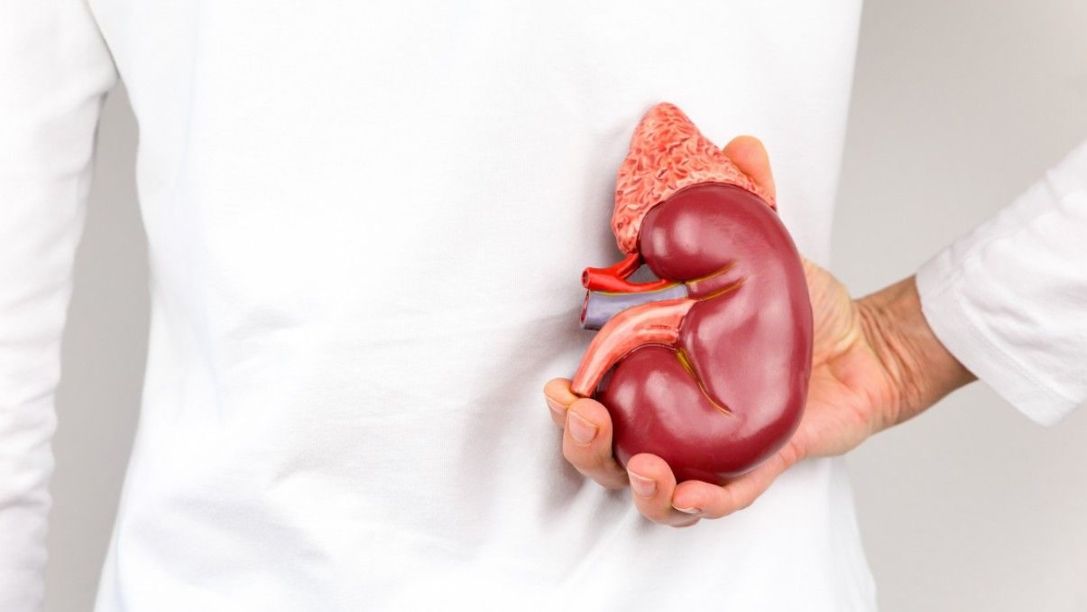 Foods you eat every day that can damage your kidneys Daily News