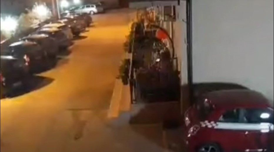 Earthquake in Serbia, security cameras capture moment when powerful