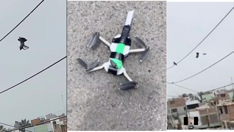 Policët përdorin dronin për ta çliruar pëllumbin që kishte ngecur në kabllon e një shtylle elektrike
