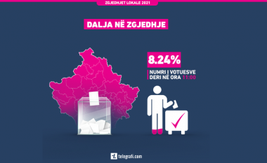 Pjesëmarrja në votime deri në ora 11:00 është 8,24%