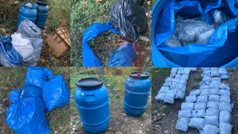 Operacioni në Krujë – sekuestrohen 145 kg kanabis, arrestohet kryeplaku i fshatit