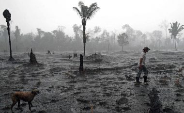Pyjet e Amazonës po humbasin 800 hektarë në ditë – të reagohet shpejt ose do të jetë vonë!