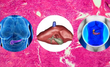 Dëmtimi i pankreasit ndikon në formimin e kancerit