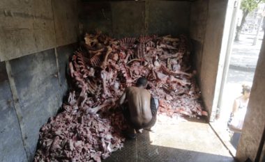 Fotografi shokuese të krizës së urisë – brazilianët kërkojnë ushqim në mbetjet e kockave të kafshëve