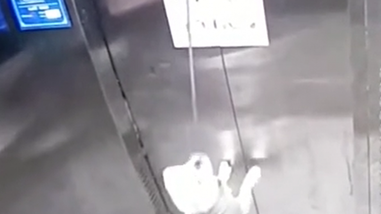 Qenit i kapet zinxhiri në dyert e ashensorit duke e lënë atë të varur për disa momente – për fat të mirë një burrë arriti ta shpëtojë atë