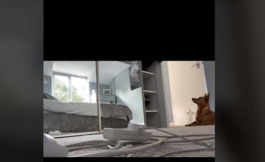 Gruaja në TikTok që filmoi fshehurazi qenin e saj vëren në pamje se dera e dollapit lëviz nga një ‘forcë e padukshme’