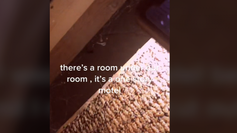 Gruaja në TikTok zbulon një “dhomë” të fshehtë në dyshemenë e shtratit të një moteli
