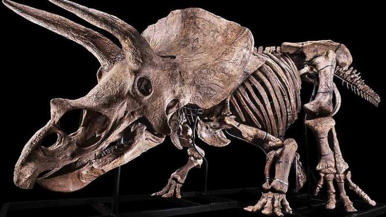 Skeleti më i madh i dinozaurit u shit për 6.6 milionë euro