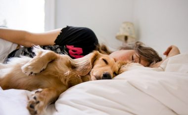 Studimi i ri tregon se njerëzit me të vërtetë do të flenë më përpara pranë qenve sesa partnerëve të tyre