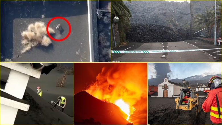 Qentë e bllokuar në një hapësirë të ‘ndarë’ nga llava mbahen gjallë me pako ushqimore të ofruara nga dronët – pamje të pasojave të vullkanit në Ishujt Kanarie