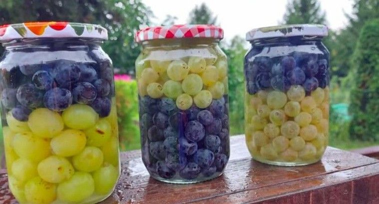 How to store grapes in jars so that they do not rot, but the taste
