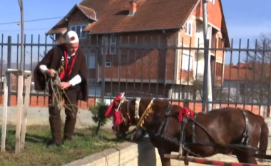 Qytetari nga Podujeva niset me kali për të votuar