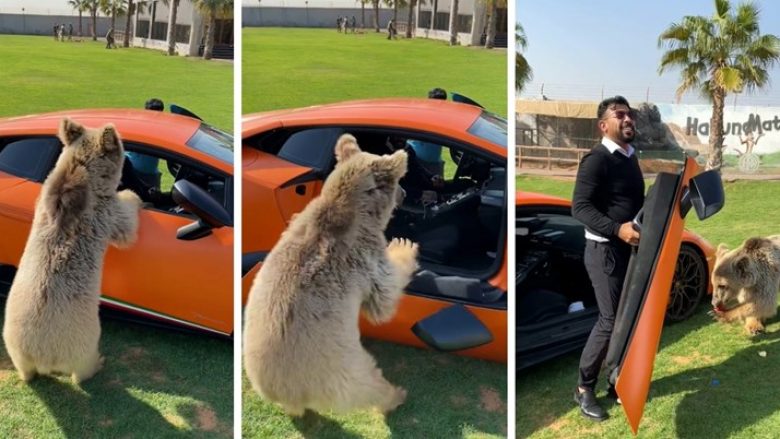 Ariu hoqi derën e Lamborghinit, reagimi i pronarit bëhet viral