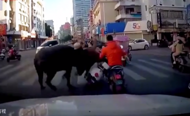 Ky është momenti tronditës kur një buall i arratisur në Kinë rrëzon një grua për tokë derisa ishte në skuterin e saj