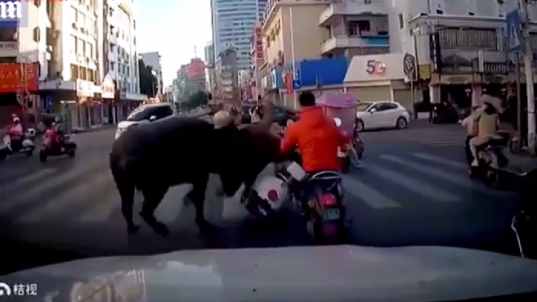 Ky është momenti tronditës kur një buall i arratisur në Kinë rrëzon një grua për tokë derisa ishte në skuterin e saj