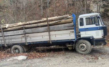 Kapen duke vjedh drunj, dy persona arrestohen nga Policia Kufitare