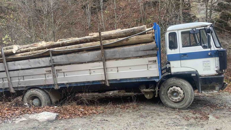 Kapen duke vjedh drunj, dy persona arrestohen nga Policia Kufitare