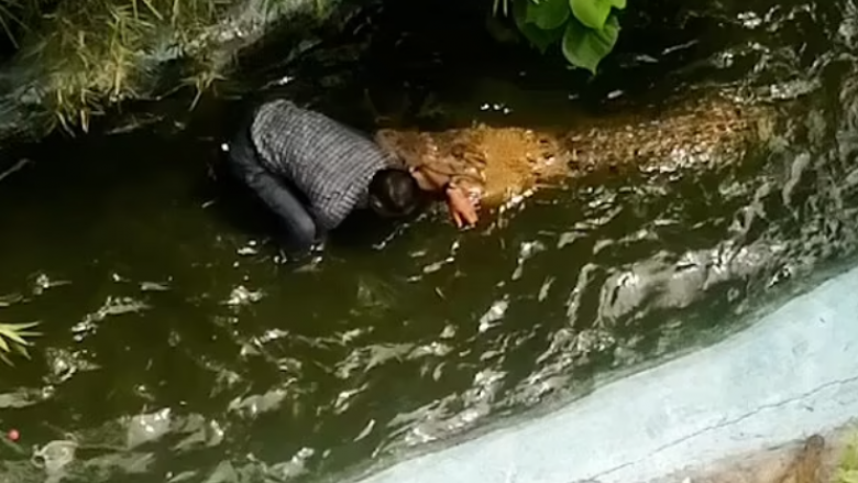 Turisti në Filipine sulmohet keq nga krokodili kur hyri në pishinë për të bërë ‘selfie’ – ai mendonte se zvarraniku ishte model plastik