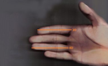 Mjeku shpjegon saktësisht se si gjatësia e gishtave zbulon madhësinë e ‘mikut’ tuaj!