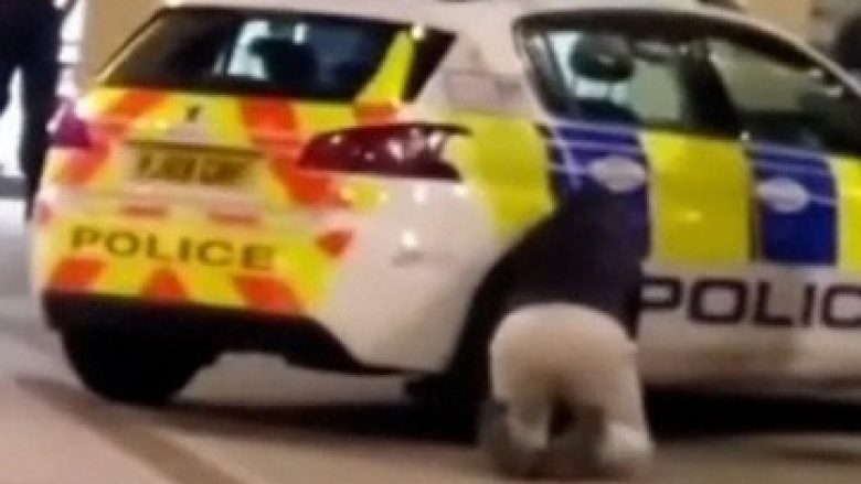 Një burrë shfryn gomat e makinës së policisë ndërsa oficerët blejnë ushqim në një shitore afër në Angli