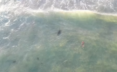 Një burrë që noton në shpinë gjendet pak metra larg një peshkaqeni gri në një nga plazhet më të njohura të Sidneit