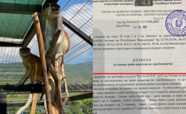 Reagon pronari i kopshtit zoologjik në Çegran: Kam leje, problemi ishte te një papagall