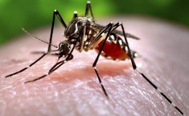 Qyteti indian raporton afër 100 raste me virusin Zika
