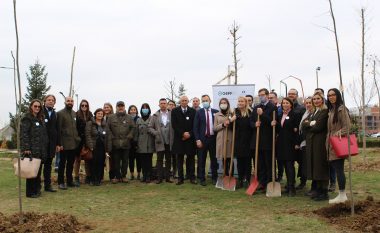 ‘Për një Prishtinë më të gjelbër’ – BERZH, BE dhe Austria mbështesin mbjelljen e 140 pemëve në Parkun Memorial