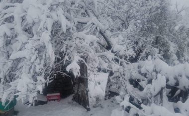 Zbardhet Korça, reshjet e borës arrijnë në 30 centimentra