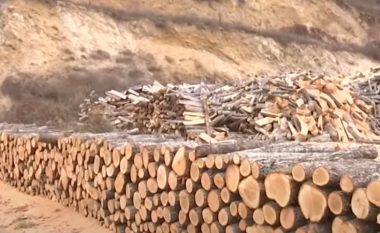 RMV: Çmimi për një metër kub dru për ngrohje arrin në 5.300 denarë