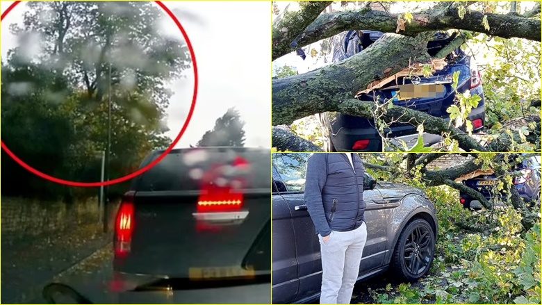 Pema e madhe rrëzohet dhe bie mbi një Range Rover kur një ‘mini tornado’ goditi qytetin e Lincolnshire në Angli