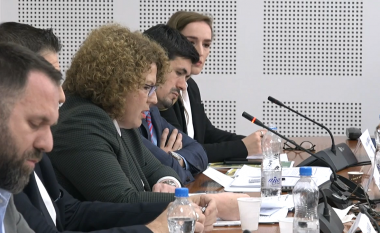 Hajdari: Kosova nuk është e përfaqësuar siç duhet në CEFTA, kemi marr masa anti-dumping për produktet e Serbisë