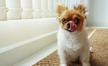 Pse qeni i lëpin buzët e veta? A e keni vënë re këtë shprehi?