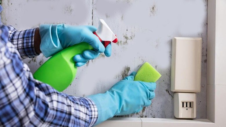 The expert has discovered three signs that indicate mold in the home