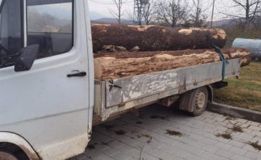 ​Dy të arrestuar për prerje ilegale të pyjeve në Bajshe të Istogut