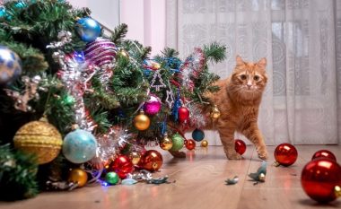 Një lëvizje e zgjuar do ta bëjë macen tuaj të qëndrojë larg pemës së Krishtlindjes