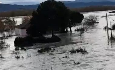 Kosova e gatshme ta ndihmojë Shqipërinë pas përmbytjeve