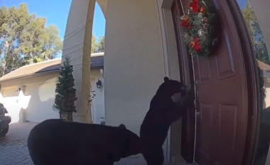 Pamjet kapin momentin e dy arinjve që tentojnë të hapin derën e një shtëpie në Florida